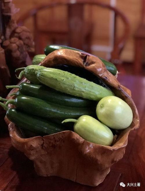 定西网红吃瓜,揭秘当地美食背后的故事 第2张 定西网红吃瓜,揭秘当地美食背后的故事 第2张