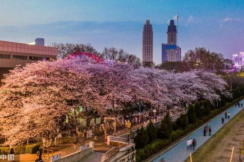网红黑料吃瓜地址,跟随吃瓜群众探寻真相背后 第3张 网红黑料吃瓜地址,跟随吃瓜群众探寻真相背后 第3张