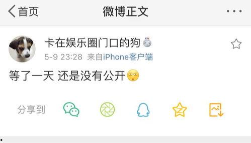 吃瓜爆料好物,吃瓜爆料中的好物盘点  第3张