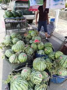 平乡网红吃瓜事件,揭秘网络舆论的风云变幻