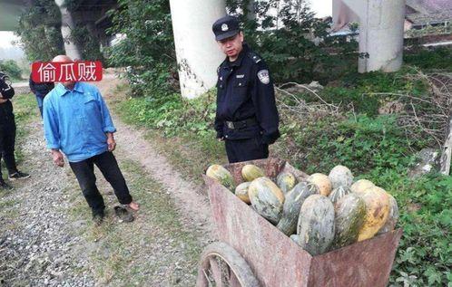 平乡网红吃瓜事件,揭秘网络舆论的风云变幻  第3张