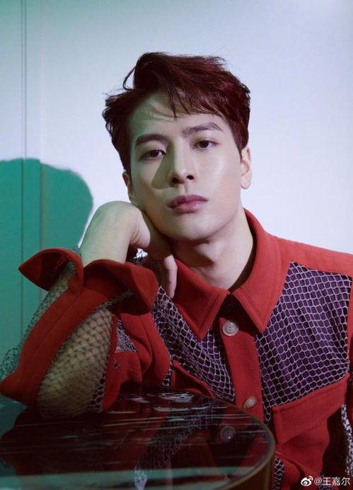 吃瓜娱乐圈王嘉尔是谁呀,娱乐圈的瓜中明星  第3张