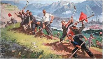 吃瓜网森林消防,森林消防英勇事迹背后的感人故事  第2张