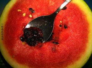 泡泡吃瓜网奇葩,揭秘网络奇谈，奇葩事件大盘点