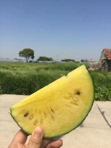 10月网红吃瓜事件,盘点那些引发热议的幕后故事  第2张