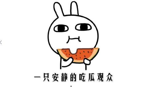 吃瓜是什么意思啊内涵,网络热词背后的社会现象与心理洞察 第3张 吃瓜是什么意思啊内涵,网络热词背后的社会现象与心理洞察 第3张