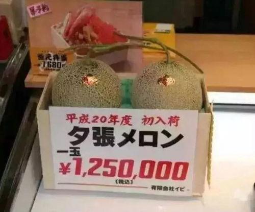 娱乐吃瓜骗局揭秘,揭秘网络虚假新闻背后的真相 第3张 娱乐吃瓜骗局揭秘,揭秘网络虚假新闻背后的真相 第3张