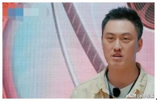 娱乐圈吃瓜爆料陈晓是谁,娱乐圈吃瓜爆料中的焦点人物 第3张 娱乐圈吃瓜爆料陈晓是谁,娱乐圈吃瓜爆料中的焦点人物 第3张