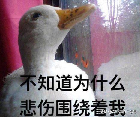 娱乐吃瓜酱鸭鸭视频  第3张