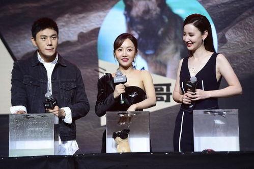 娱乐圈吃瓜爆料合集网盘,网盘收录吃瓜爆料合集大揭秘 第3张 娱乐圈吃瓜爆料合集网盘,网盘收录吃瓜爆料合集大揭秘 第3张