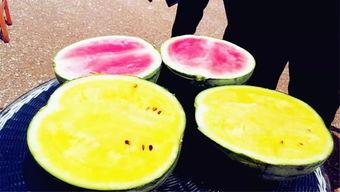 吃瓜爆料珍珠,吃瓜爆料,珍珠背后的故事 第2张 吃瓜爆料珍珠,吃瓜爆料,珍珠背后的故事 第2张