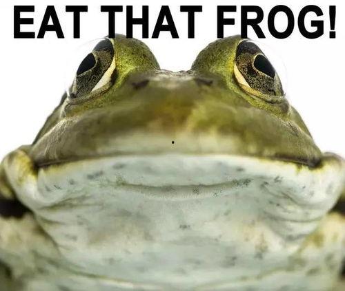 娱乐圈吃瓜酱青蛙,揭秘明星背后的故事 第2张 娱乐圈吃瓜酱青蛙,揭秘明星背后的故事 第2张